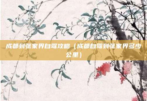 成都到张家界自驾攻略(成都自驾到张家界多少公里)