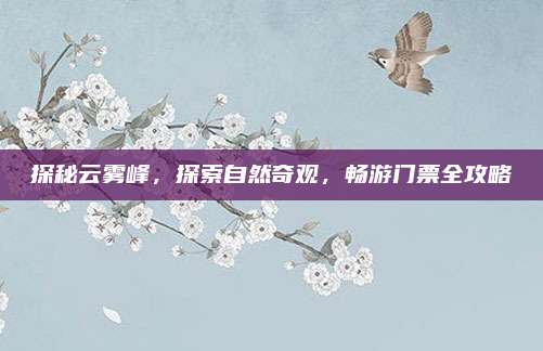 探秘云雾峰，探索自然奇观，畅游门票全攻略