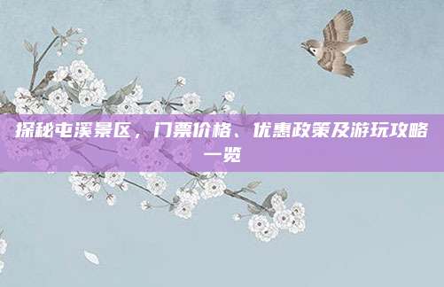 探秘屯溪景区，门票价格、优惠政策及游玩攻略一览
