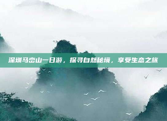 深圳马峦山一日游，探寻自然秘境，享受生态之旅