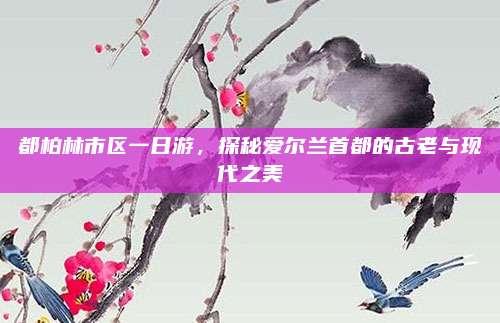 都柏林市区一日游，探秘爱尔兰首都的古老与现代之美