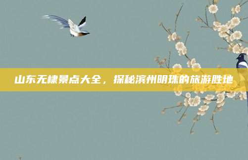 山东无棣景点大全，探秘滨州明珠的旅游胜地