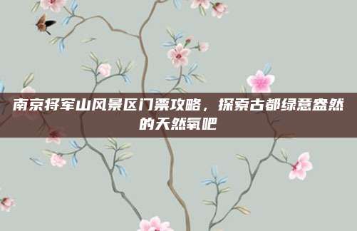 南京将军山风景区门票攻略，探索古都绿意盎然的天然氧吧