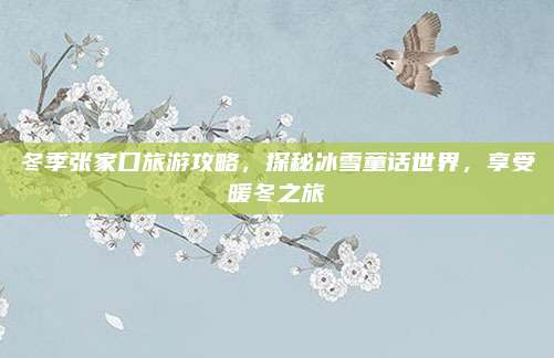 冬季张家口旅游攻略，探秘冰雪童话世界，享受暖冬之旅