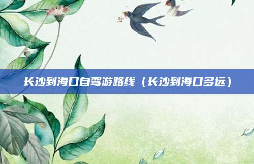 长沙到海口自驾游路线（长沙到海口多远）