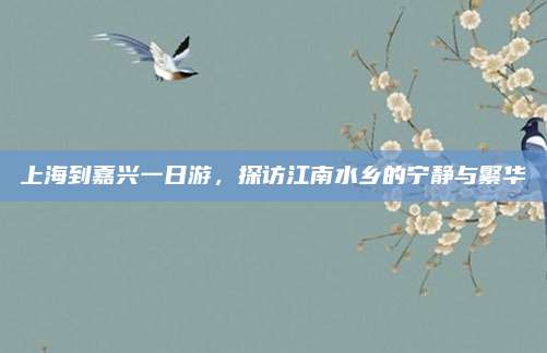 上海到嘉兴一日游，探访江南水乡的宁静与繁华