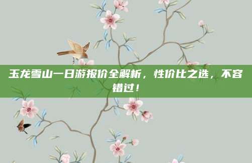 玉龙雪山一日游报价全解析，性价比之选，不容错过！