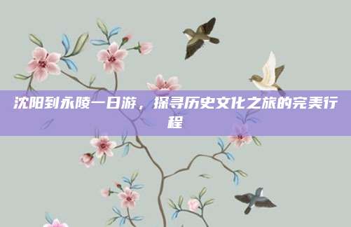 沈阳到永陵一日游，探寻历史文化之旅的完美行程