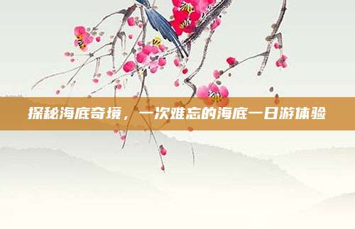 探秘海底奇境，一次难忘的海底一日游体验
