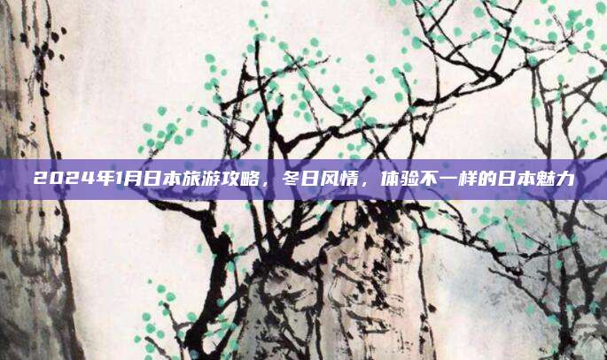 2024年1月日本旅游攻略，冬日风情，体验不一样的日本魅力