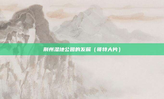 荆州湿地公园的发展(哥特大片)