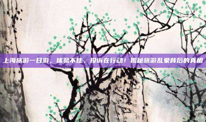 上海旅游一日游，体验不佳，投诉在行动！揭秘旅游乱象背后的真相