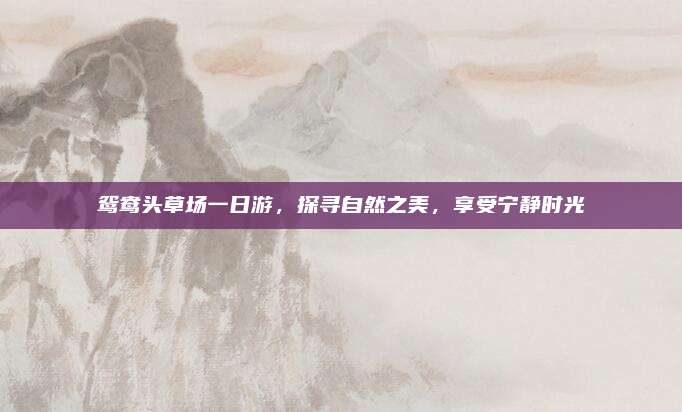 鸳鸯头草场一日游，探寻自然之美，享受宁静时光