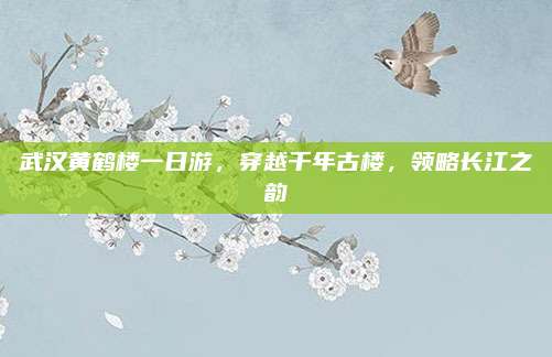 武汉黄鹤楼一日游，穿越千年古楼，领略长江之韵