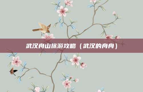 武汉舟山旅游攻略（武汉的舟舟）