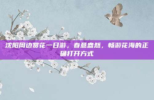 沈阳周边赏花一日游，春意盎然，畅游花海的正确打开方式