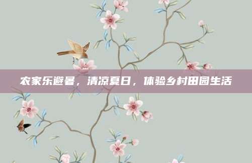 农家乐避暑，清凉夏日，体验乡村田园生活