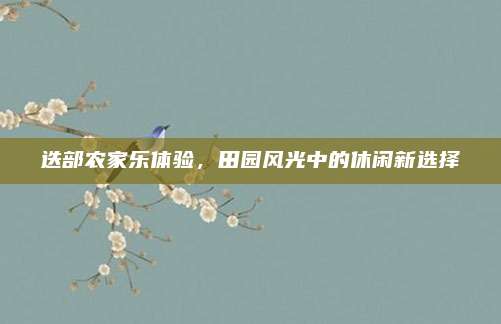迭部农家乐体验，田园风光中的休闲新选择
