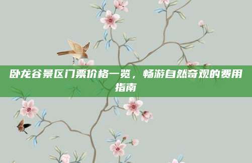 卧龙谷景区门票价格一览，畅游自然奇观的费用指南