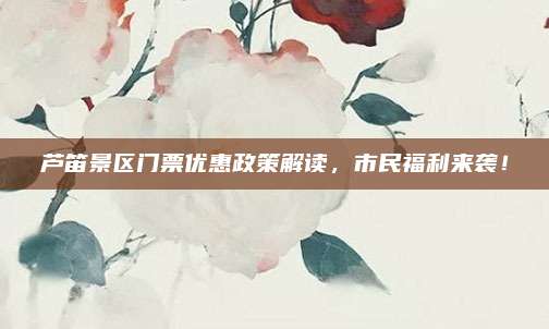 芦笛景区门票优惠政策解读，市民福利来袭！