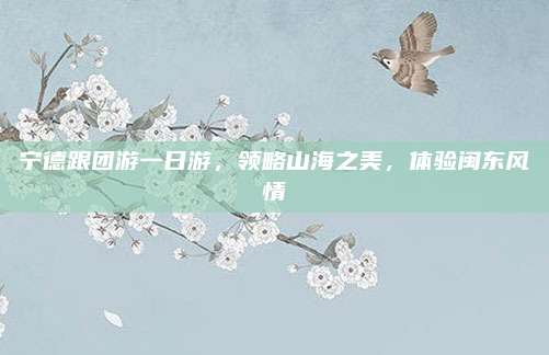 宁德跟团游一日游，领略山海之美，体验闽东风情