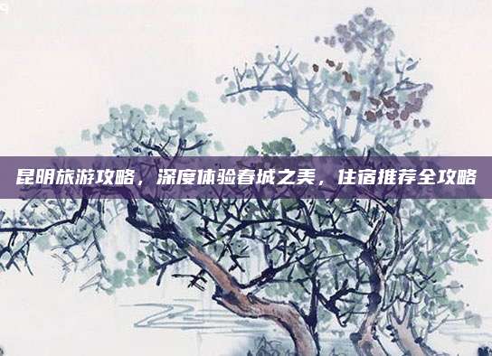 昆明旅游攻略，深度体验春城之美，住宿推荐全攻略