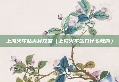 上海火车站美食攻略(上海火车站有什么吃的)