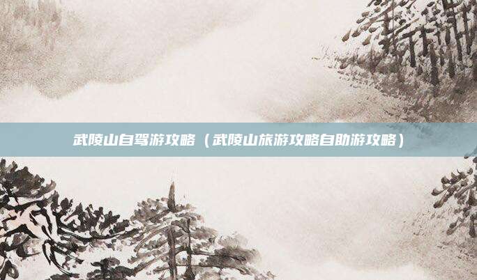 武陵山自驾游攻略(武陵山旅游攻略自助游攻略)