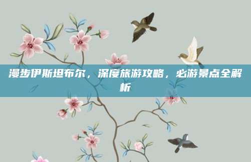 漫步伊斯坦布尔，深度旅游攻略，必游景点全解析
