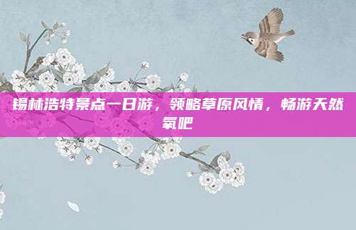 锡林浩特景点一日游，领略草原风情，畅游天然氧吧