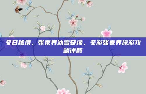 冬日秘境，张家界冰雪奇缘，冬游张家界旅游攻略详解