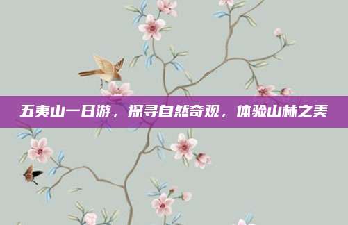 五夷山一日游，探寻自然奇观，体验山林之美