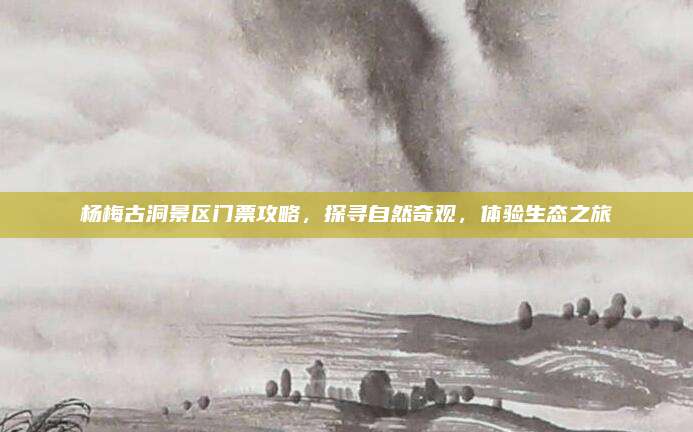 杨梅古洞景区门票攻略，探寻自然奇观，体验生态之旅
