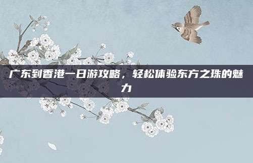 广东到香港一日游攻略，轻松体验东方之珠的魅力