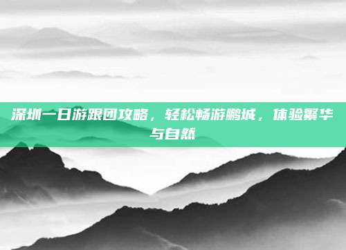 深圳一日游跟团攻略，轻松畅游鹏城，体验繁华与自然