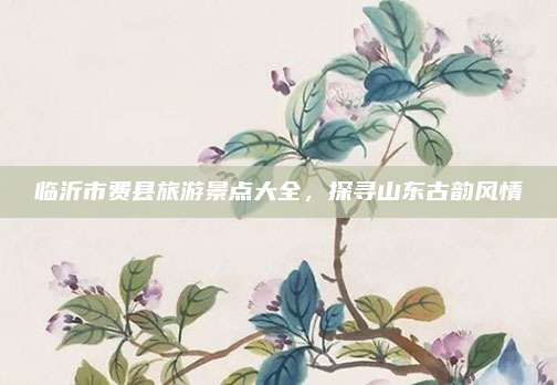 临沂市费县旅游景点大全，探寻山东古韵风情