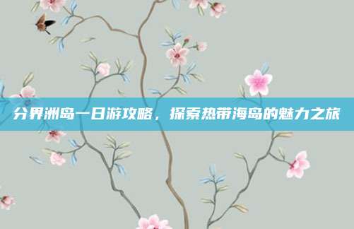 分界洲岛一日游攻略，探索热带海岛的魅力之旅