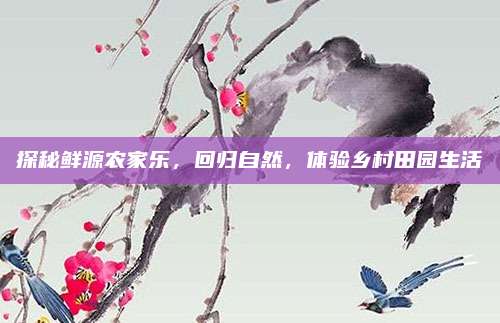 探秘鲜源农家乐，回归自然，体验乡村田园生活