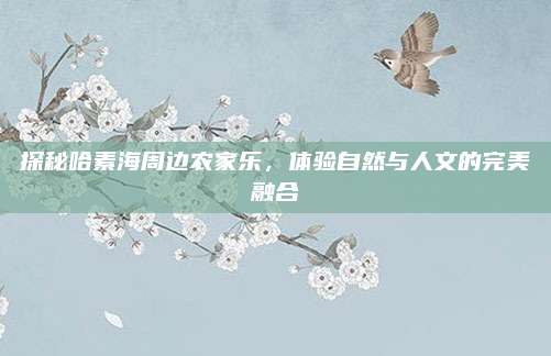 探秘哈素海周边农家乐，体验自然与人文的完美融合