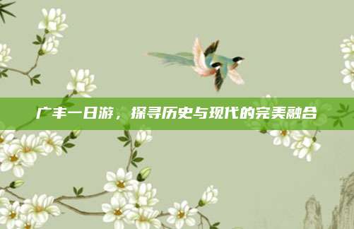 广丰一日游，探寻历史与现代的完美融合