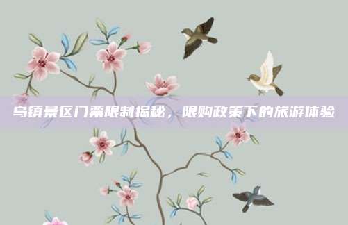 乌镇景区门票限制揭秘，限购政策下的旅游体验