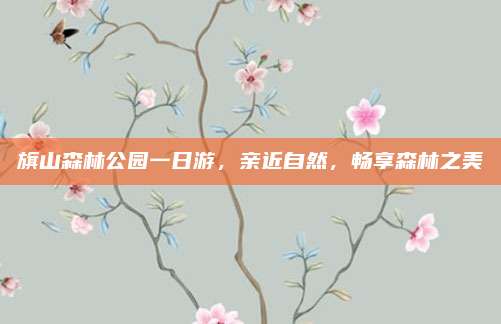 旗山森林公园一日游，亲近自然，畅享森林之美