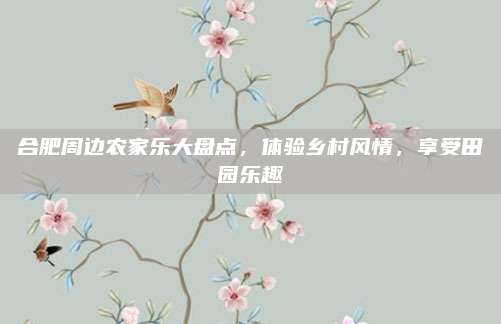 合肥周边农家乐大盘点，体验乡村风情，享受田园乐趣