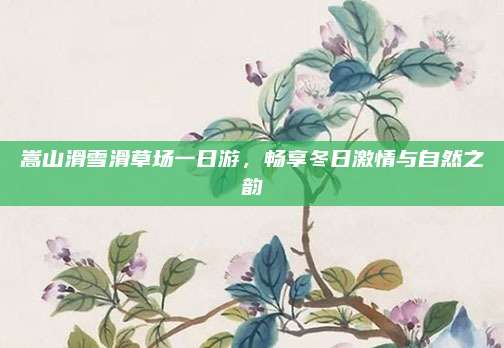 嵩山滑雪滑草场一日游，畅享冬日激情与自然之韵