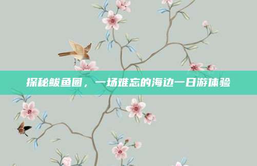 探秘鲅鱼圈，一场难忘的海边一日游体验