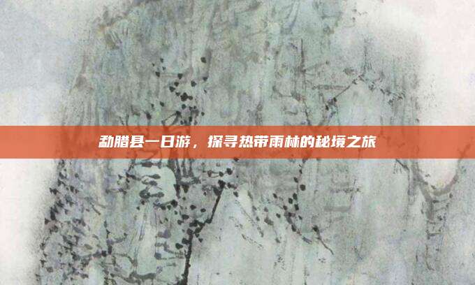 勐腊县一日游，探寻热带雨林的秘境之旅