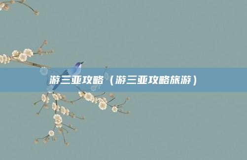 游三亚攻略(游三亚攻略旅游)