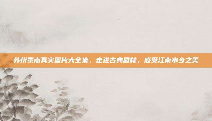 苏州景点真实图片大全集，走进古典园林，感受江南水乡之美