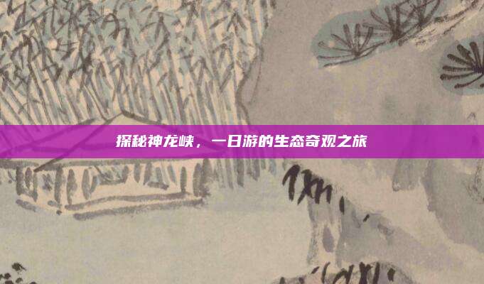 探秘神龙峡,一日游的生态奇观之旅