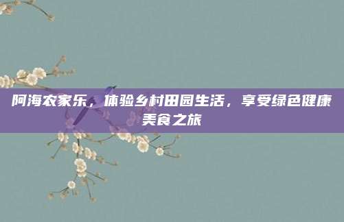 阿海农家乐，体验乡村田园生活，享受绿色健康美食之旅